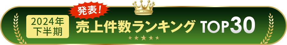 売上件数ランキングTOP30